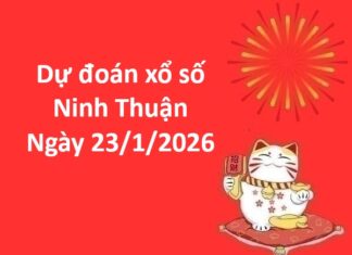 Dự đoán xổ số Ninh Thuận ngày 23 tháng 1 thứ 6 siêu chuẩn Dự đoán xổ số Ninh Thuận ngày 23 tháng 1