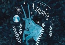 Phân tích con số may mắn cung Kim Ngưu ngày 1/3 chủ nhật Phân tích con số may mắn cung Kim Ngưu ngày 1/3 chủ nhật