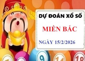 Dự đoán xổ số Miền Bắc ngày 15/2/2026 Chủ Nhật siêu chuẩn