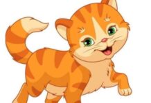 con số may mắn ngày 1/5/2026 tuổi Mão