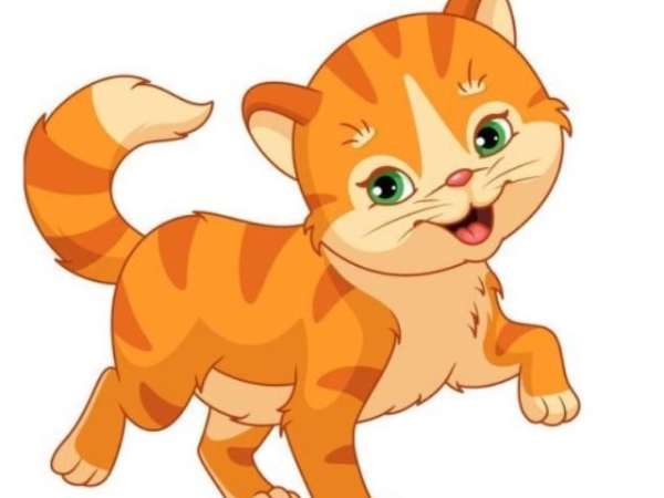 con số may mắn ngày 1/5/2026 tuổi Mão