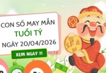Đón tài lộc với con số may mắn ngày 20/04/2026 tuổi Tý