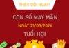 Con số may mắn hôm nay 21/5/2026 thứ 5 tuổi Hợi