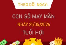 Con số may mắn hôm nay 21/5/2026 thứ 5 tuổi Hợi