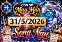Con số may mắn hôm nay 31/5/2026 chủ nhật cung Song Ngư